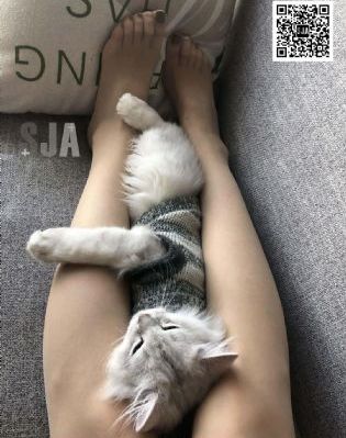坠落女律师伦理973_BD英语手机在线观看